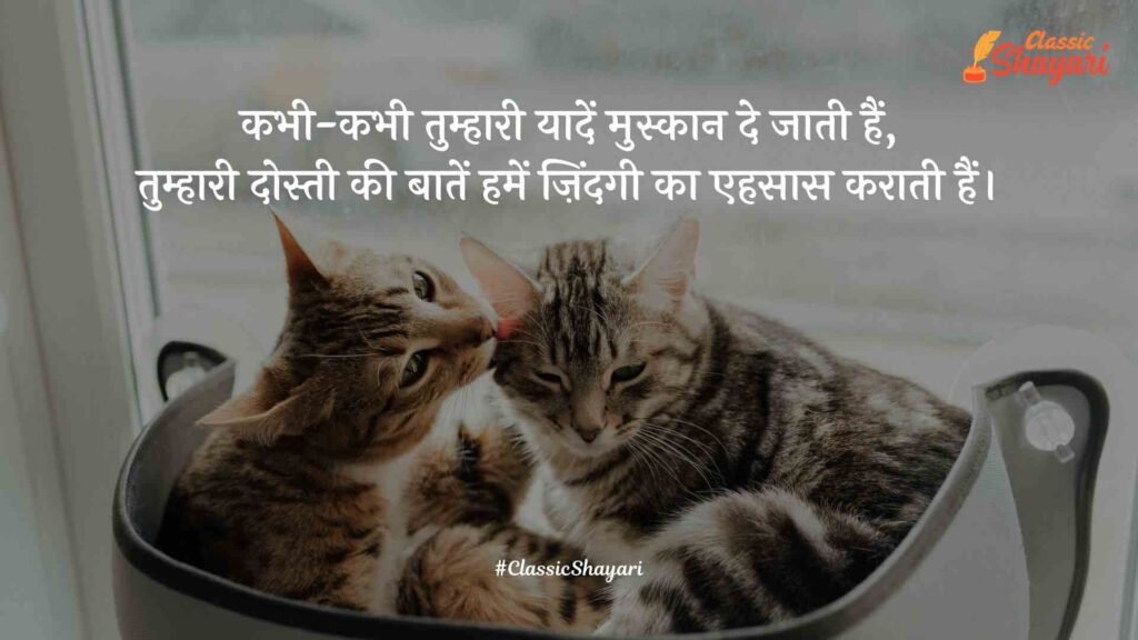 love dosti shayari​