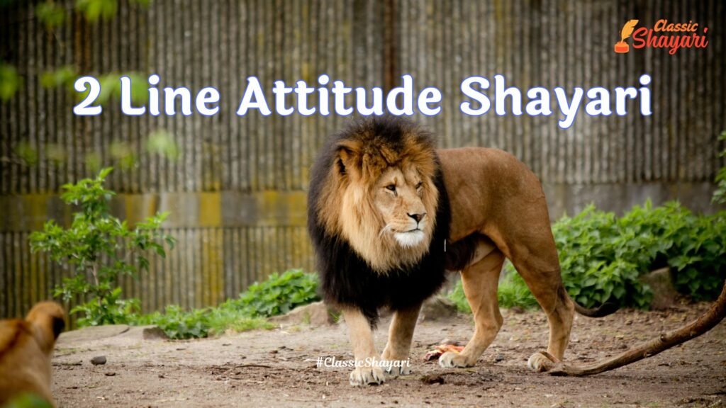 2 Line Attitude Shayari | ट्व लाइन ऐटिटूड शायरी