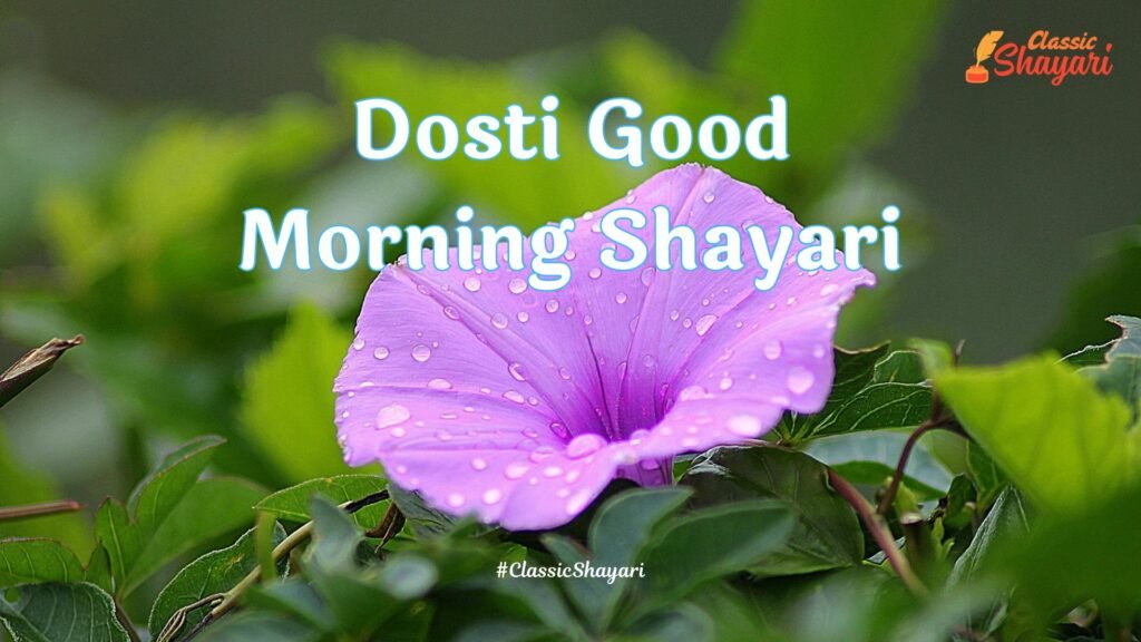 Dosti Good Morning Shayari | दोस्ती गुड मॉर्निंग शायरी